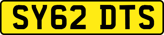 SY62DTS