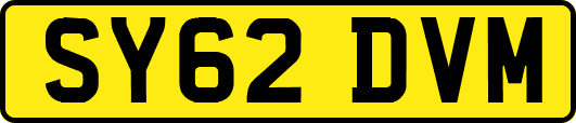 SY62DVM