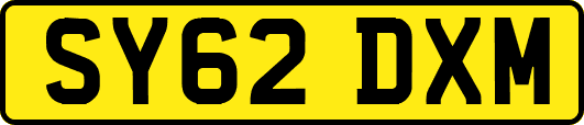 SY62DXM
