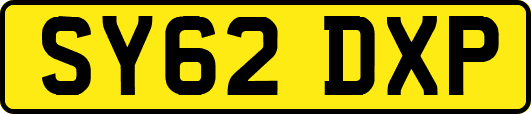 SY62DXP