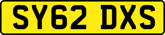 SY62DXS