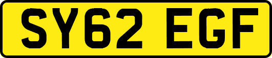 SY62EGF