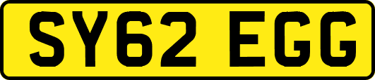 SY62EGG