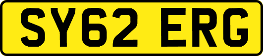 SY62ERG