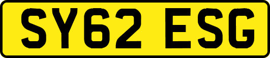 SY62ESG