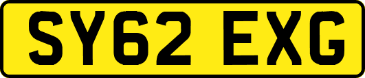 SY62EXG