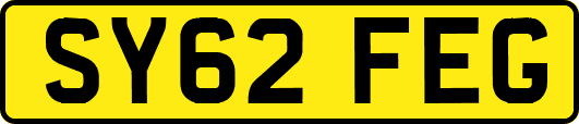 SY62FEG