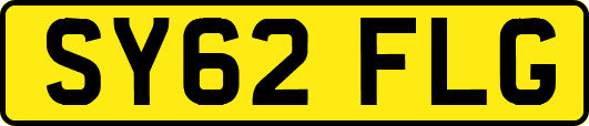 SY62FLG