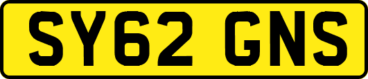 SY62GNS