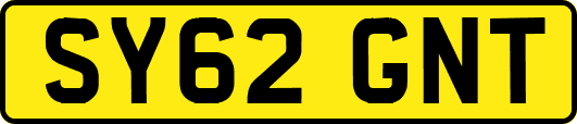 SY62GNT