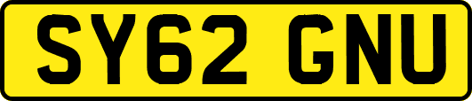 SY62GNU