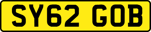 SY62GOB