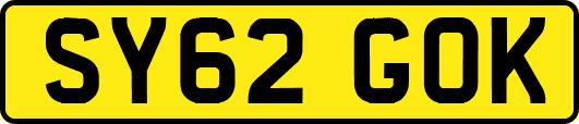 SY62GOK