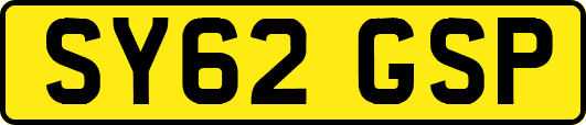 SY62GSP