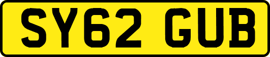 SY62GUB