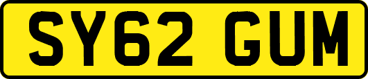 SY62GUM