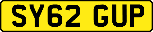 SY62GUP