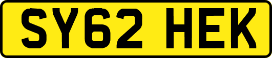 SY62HEK
