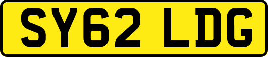 SY62LDG