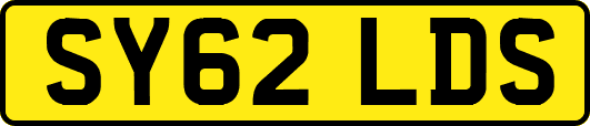 SY62LDS