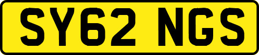 SY62NGS