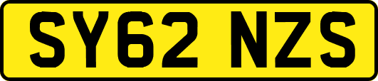 SY62NZS
