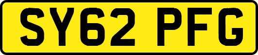 SY62PFG