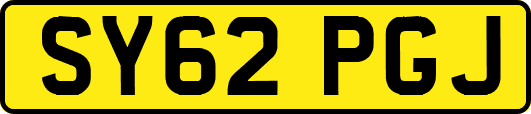 SY62PGJ