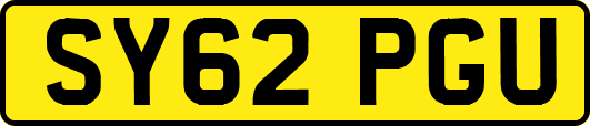 SY62PGU