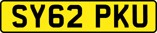 SY62PKU