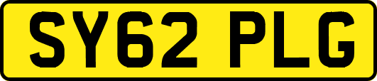 SY62PLG