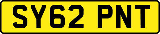 SY62PNT