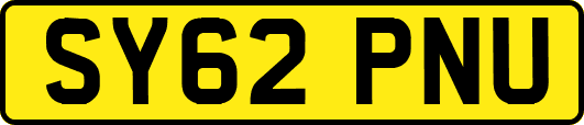 SY62PNU