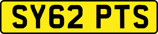 SY62PTS