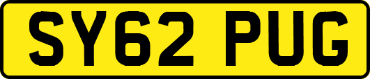 SY62PUG