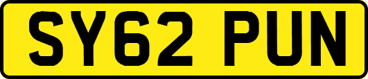SY62PUN