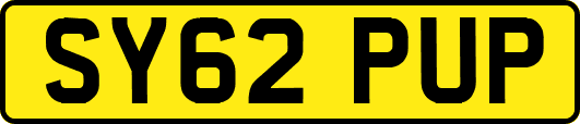 SY62PUP