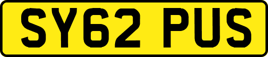 SY62PUS