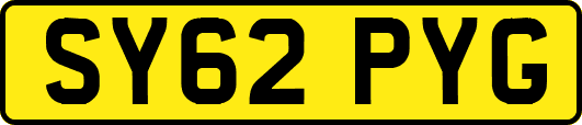 SY62PYG