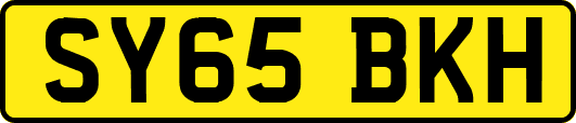 SY65BKH
