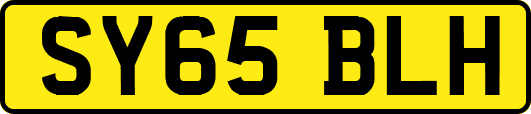 SY65BLH