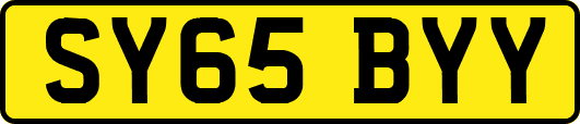 SY65BYY