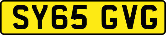 SY65GVG