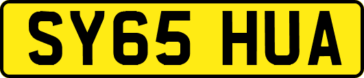 SY65HUA