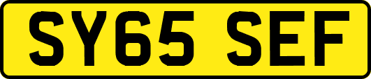 SY65SEF