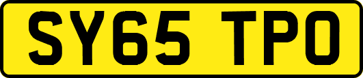 SY65TPO