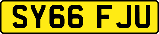 SY66FJU