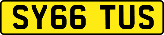 SY66TUS