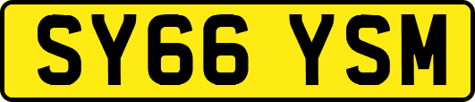 SY66YSM