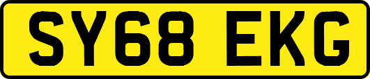 SY68EKG